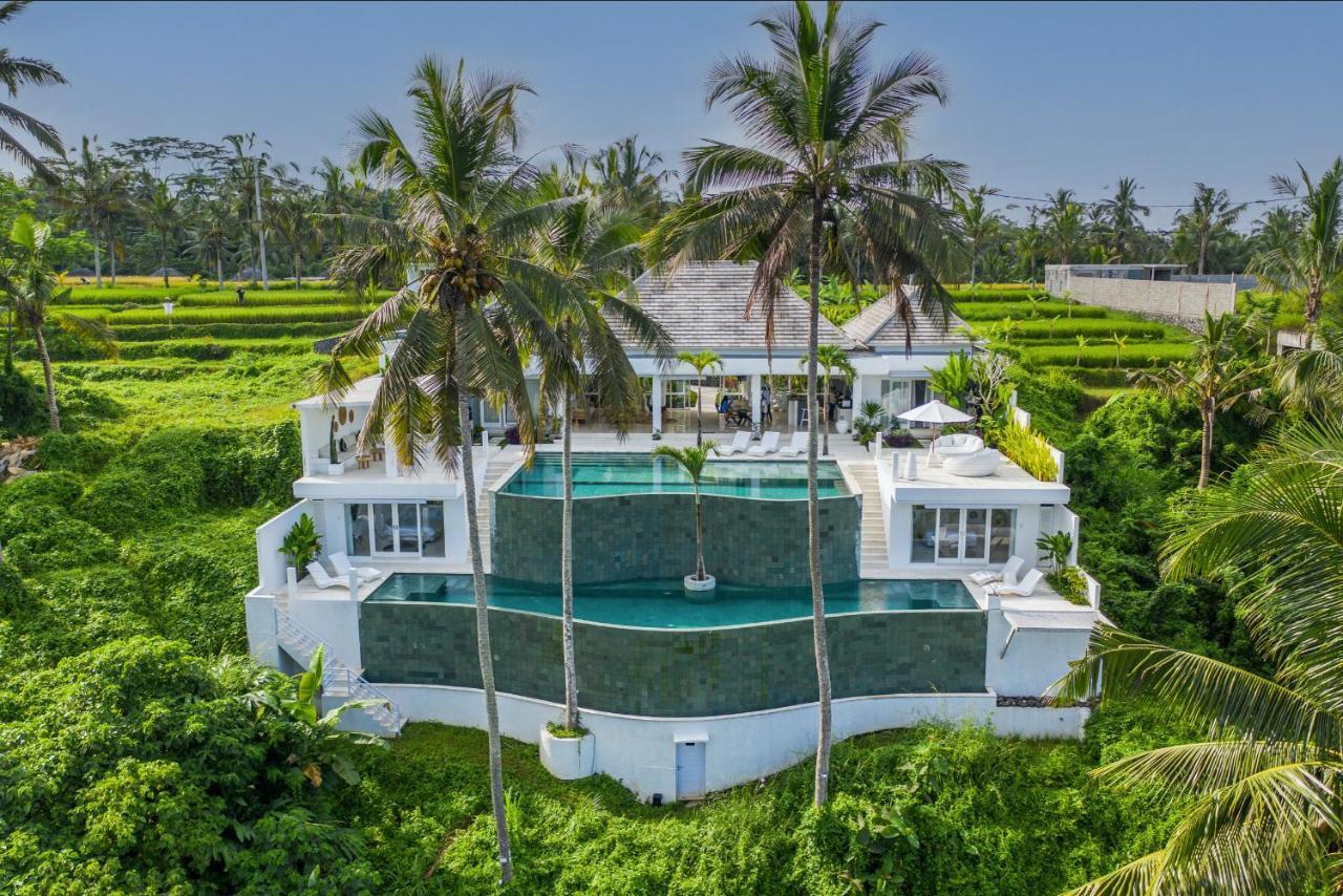 New! Amazing Jungle View 4 Br W Staff